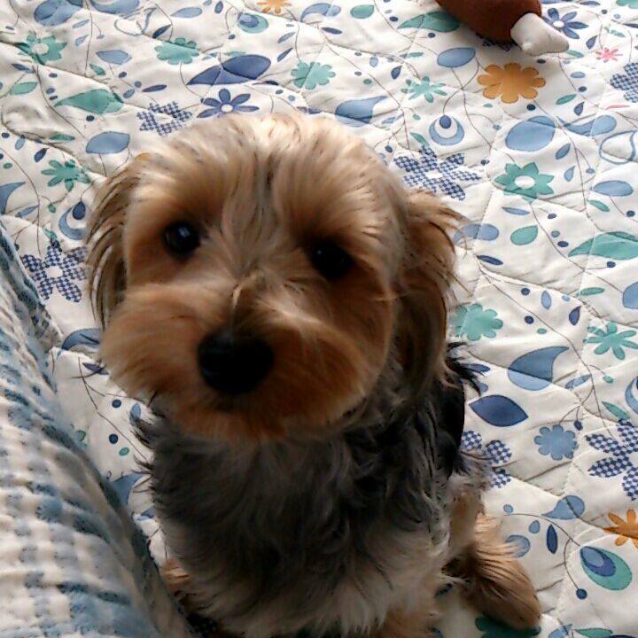 24514303 8f51 4c7b 9b67 6c3282312d54