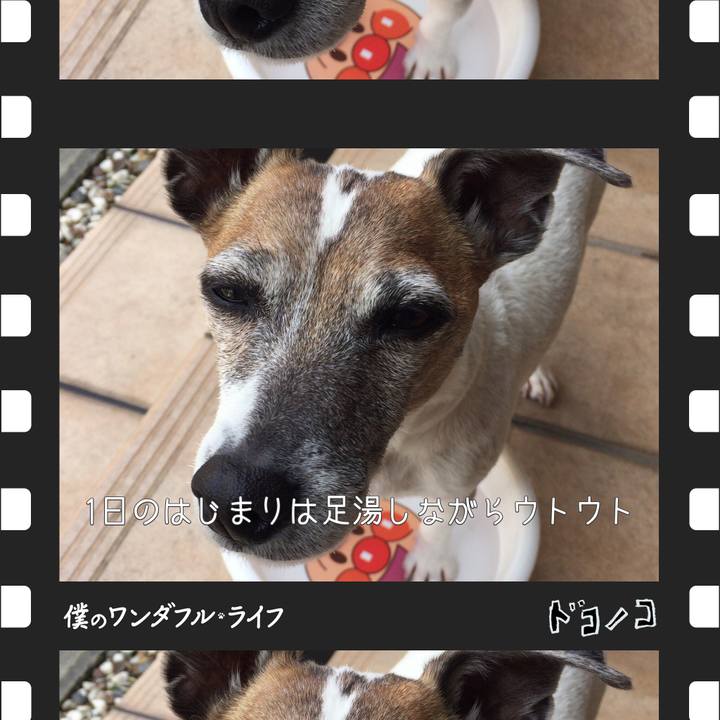 245226eb 875d 4cd0 92bd e495831cd6ab