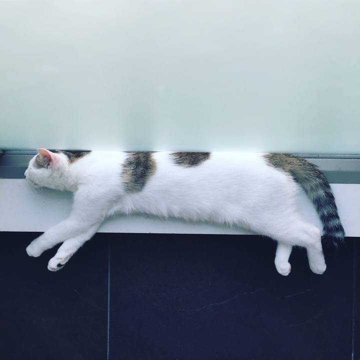 24523a08 e3be 4a60 8b9a 9a8f263a272f