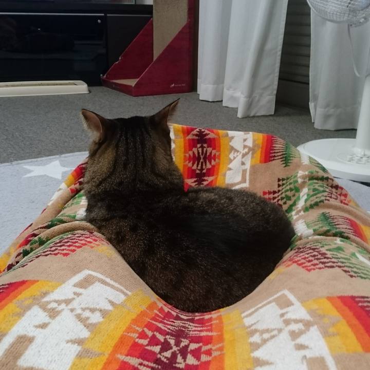 24529aa4 aec8 4f8e 9132 062fbd9e0923