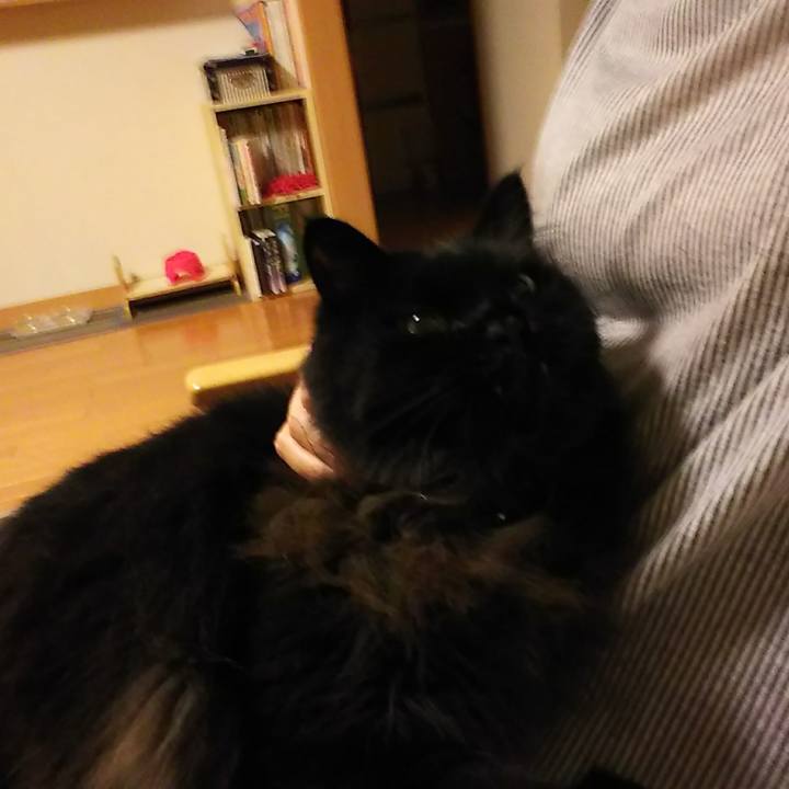 2452ea1f 204b 4cdd 8a23 bbb9312e1577