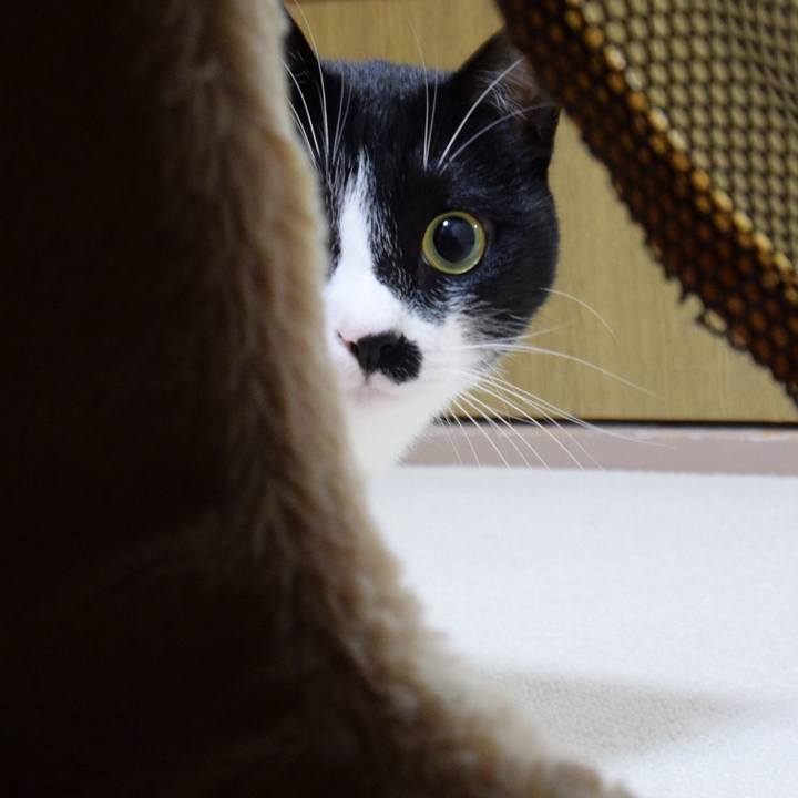 245387e2 71cb 44d2 b79d 0d357a7e72e6