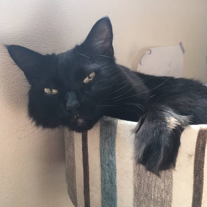 2453e248 5433 42c9 996b 4c5e2bbe9a5d