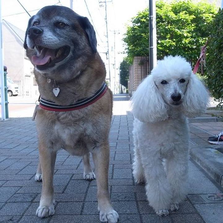 24542e6d 3815 4d1d b939 df74a127048a