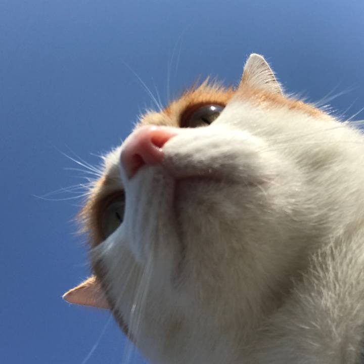 2454621a 3113 4213 be54 b7c68959f09a