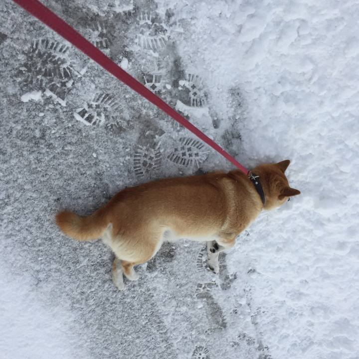 24558008 4f95 4449 9bc9 a1ec1fe84edf