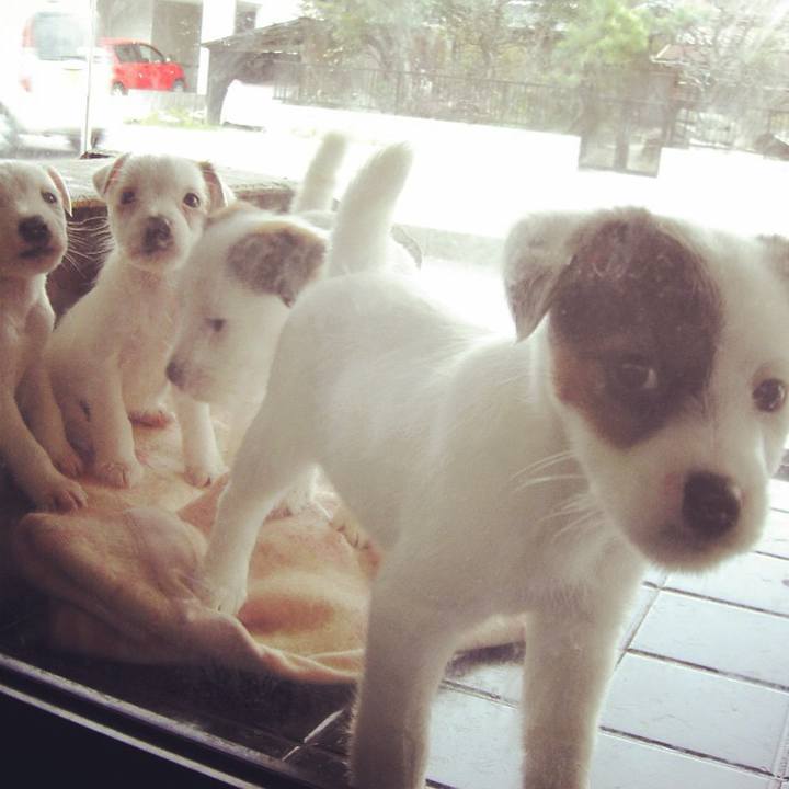 2455bc5f ca24 424d b813 7d3b36e32c80