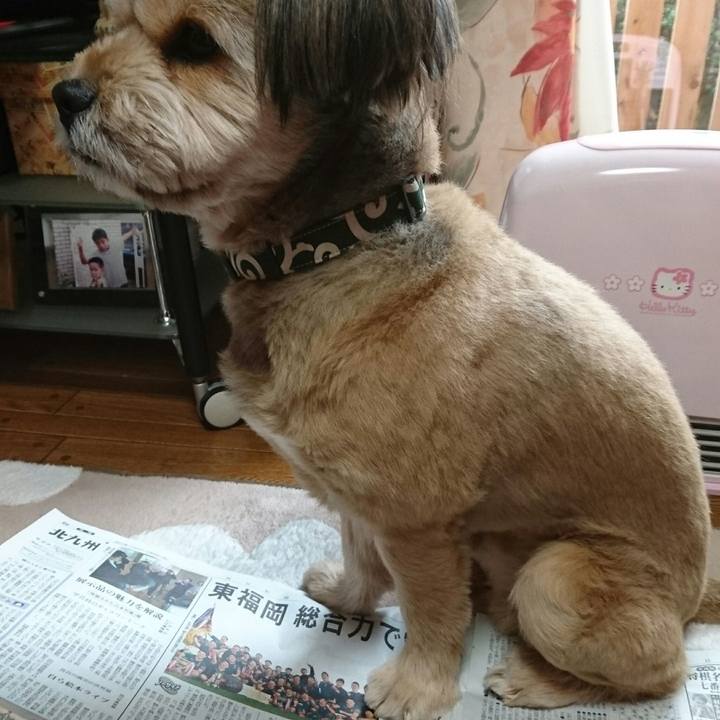 24560473 f2b0 42a2 a8e6 fc4bbc12d921