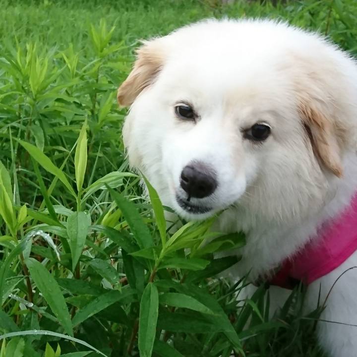 2456b929 9a02 4693 9d89 ecdbc3568360