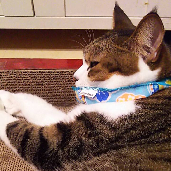 245769ff afea 4dc0 855f 21adb2aeea5f