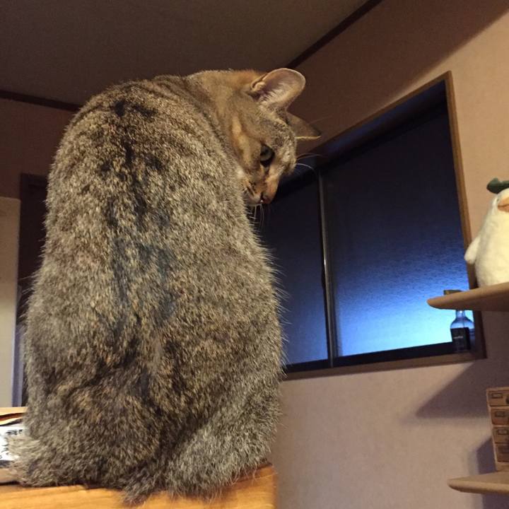 24577678 12db 411d a50d 8df8ecfbe342