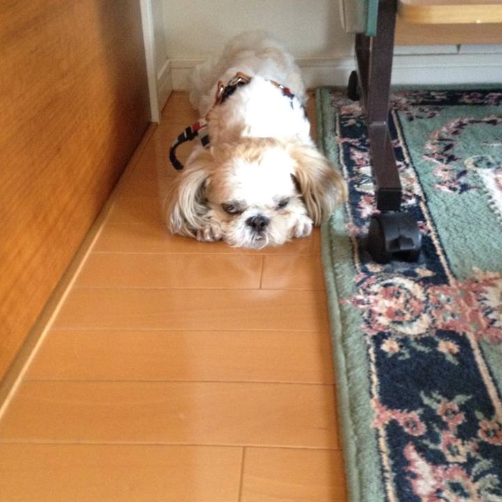 245783ba f319 44c5 8b38 53166df61a89