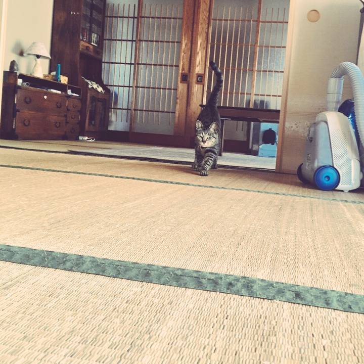 2457ded2 aa8c 4915 8abe fbd5544e629b