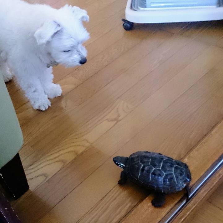 2458081f 2560 4d4d 84c1 ac67d847d32c