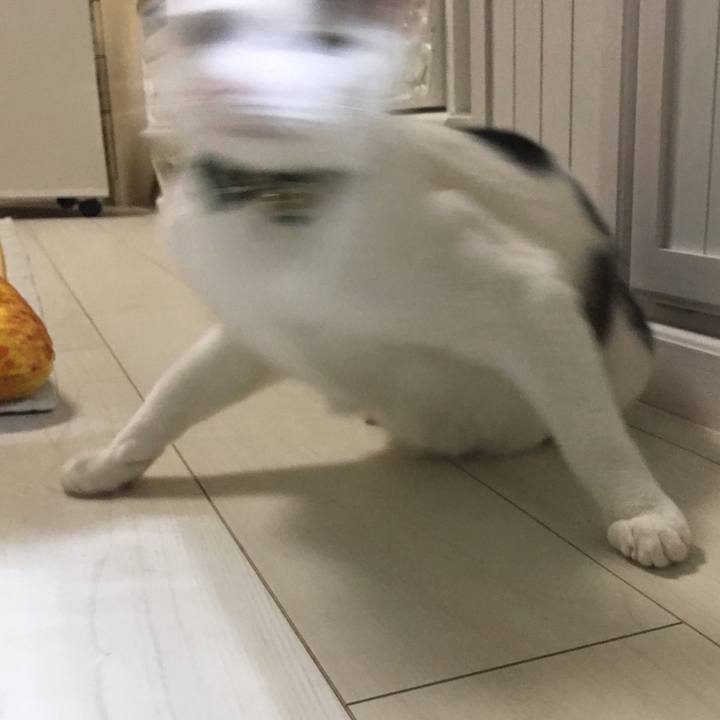 24585f41 c6fa 4a0d b362 70dcb629dd0e