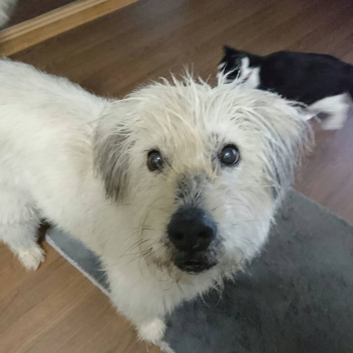 2458d6cd 58a7 43e0 8408 fbcebd609b32