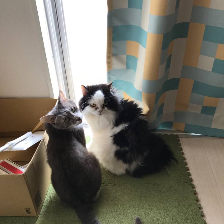 245a110c f1d7 46e5 8664 79d9766c8d66