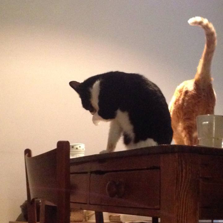 245a7d58 b7df 4b0b abd9 397ff7f6c981