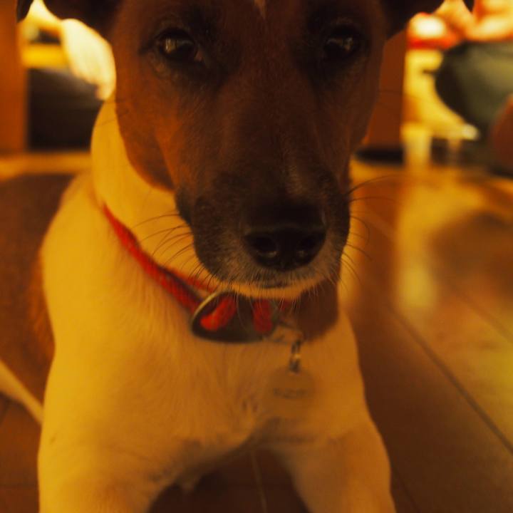 245ba977 5f6d 4c4b 8093 28bd0ccc5068