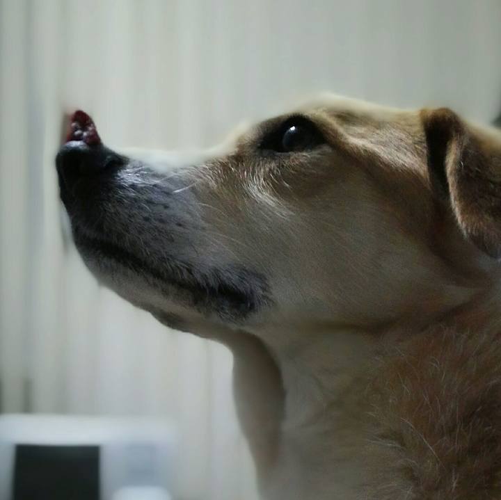 245c601c 58e3 4324 9a0f e8463ddd41c6