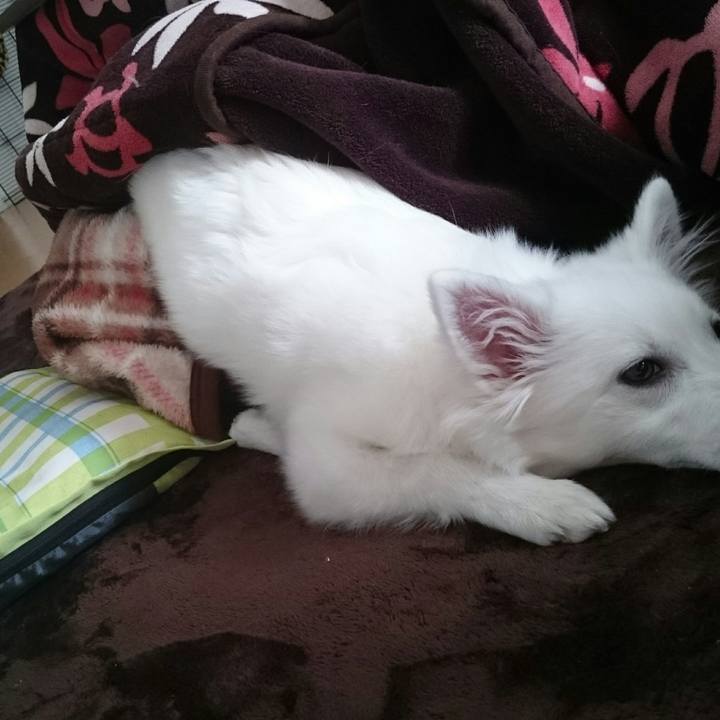 245c6683 cbea 4553 91fd 3210ccb19633