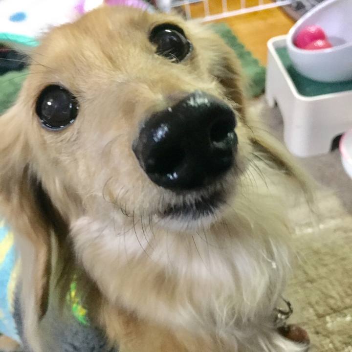 245cb0c0 9a2c 4305 8883 6e481ca66c8f