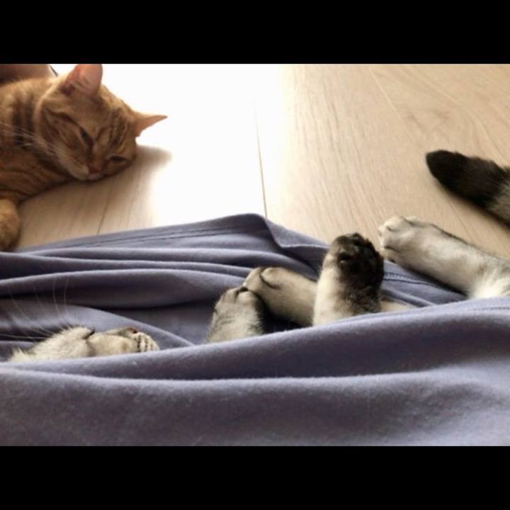 245cff54 6eef 4388 9fe3 3e565ce6849f