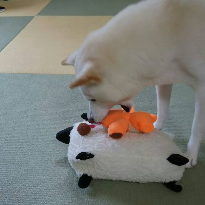 245d94e3 8eec 4350 aaea 0fda43bb1e70