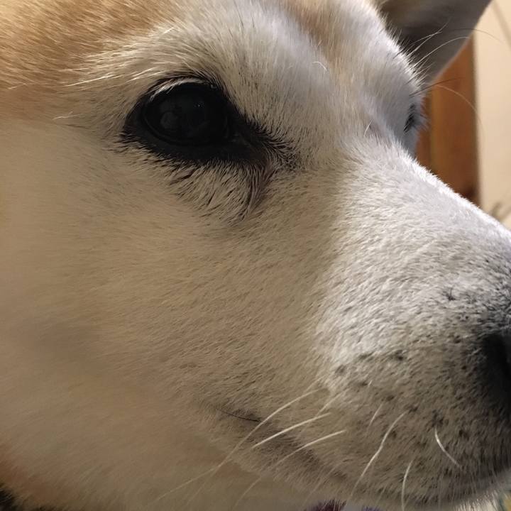 245de15e 3e3a 4981 a8b9 c9eaa3d4cf83