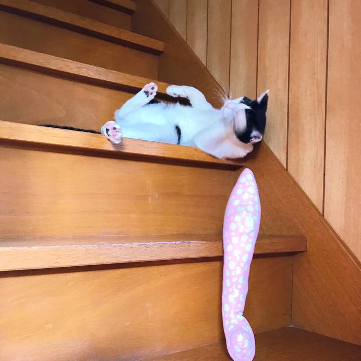 245e6d1f ac45 42ee bdd7 bb3385010bf3