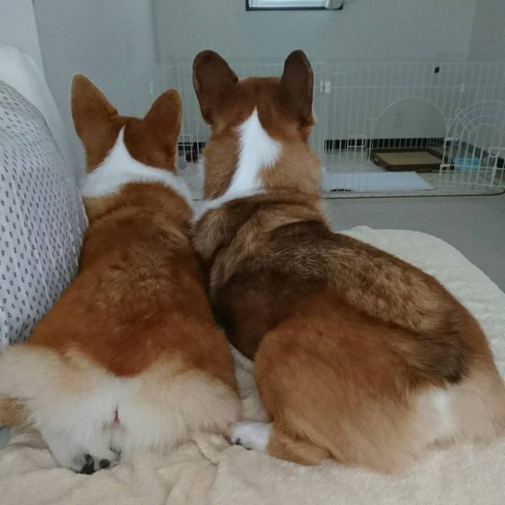 245ef05e 778b 4c1e 8a9a 9b5e968feb42