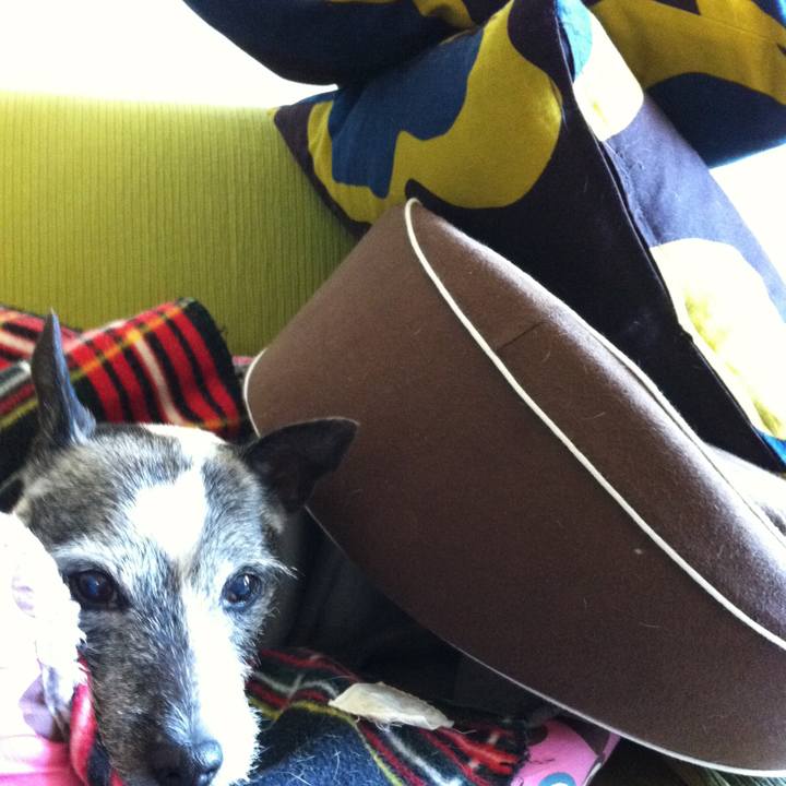 246060d5 cce9 47af bb21 cfe4b2b1a40b