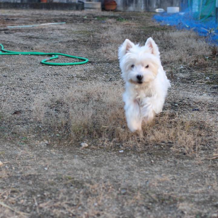 2460eb8c e39d 4c12 ad74 6026e5b99e53