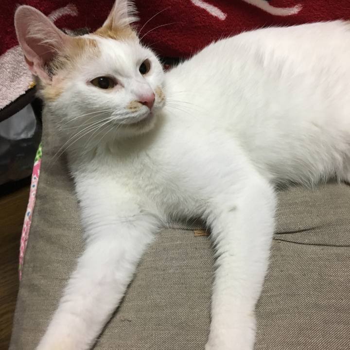 2461173d a8be 49e3 b980 3d46c3822cfd