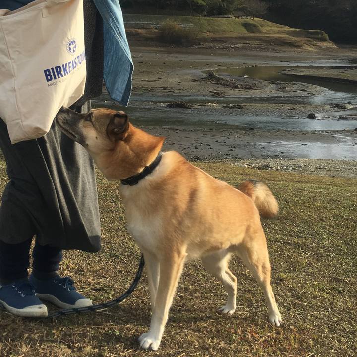 24611f6f 6c77 42d7 9ada d78aa8324969