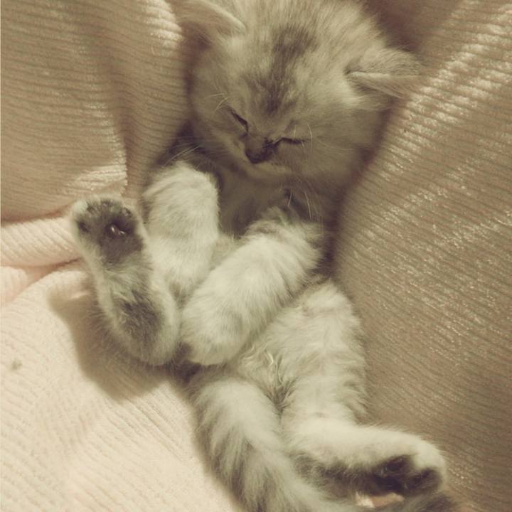 2461e0b8 bc82 4243 b5af d60d32ef71a6