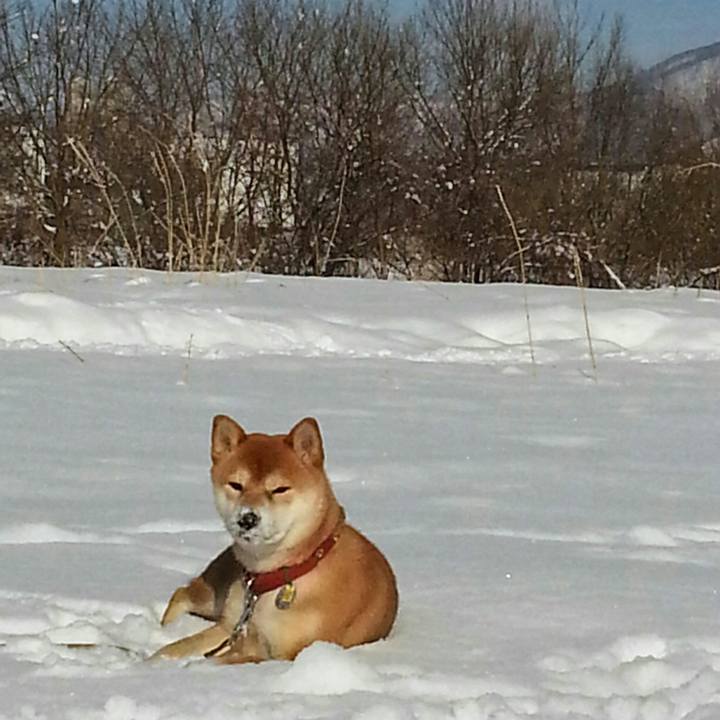 246209ec e782 4335 8cc7 d11df4396f7c