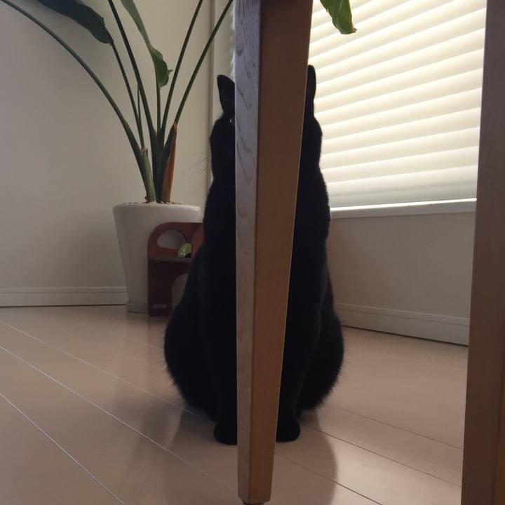 24622ce8 ed1d 41af bbcd 5770e4552f77