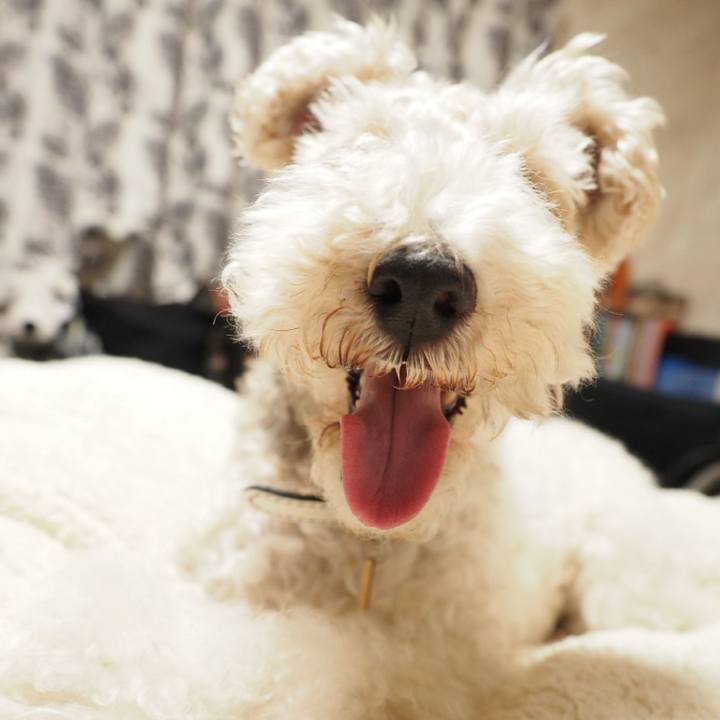 24628fbb f74d 439d 9b99 3077b035ca6d