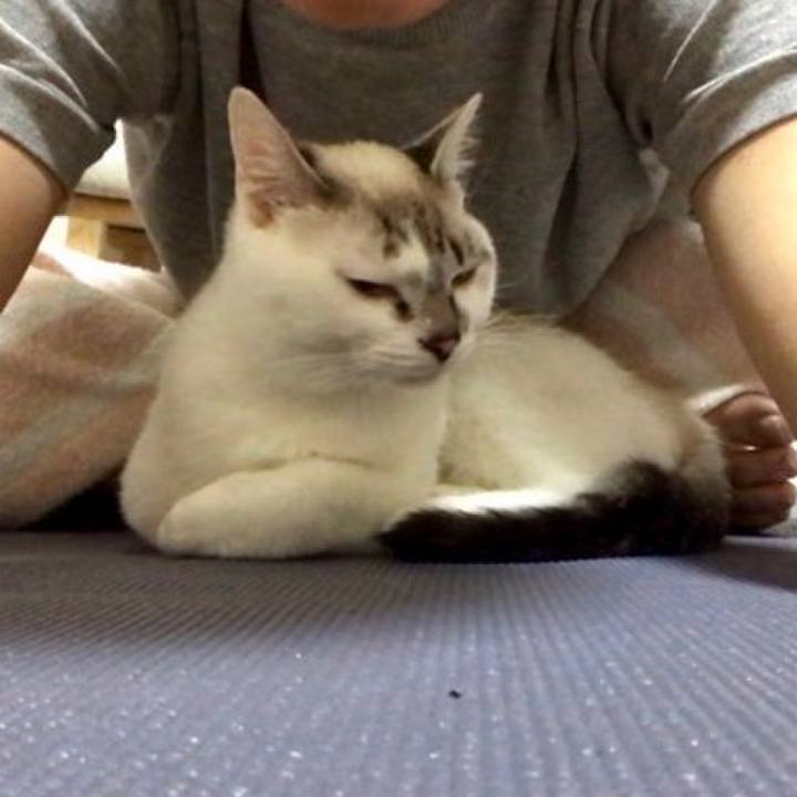 2462cb58 f68c 42ba a5ed 38db61015b5f