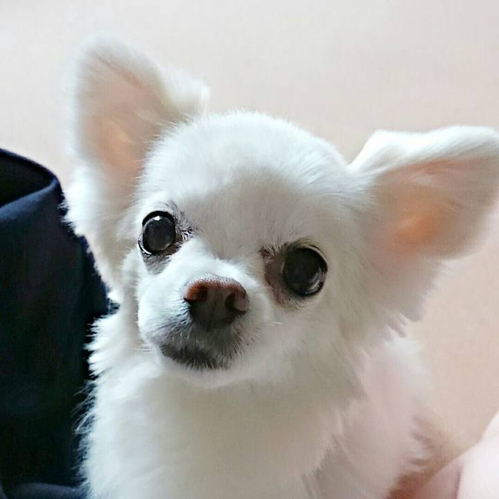 2462dbad 6ac1 4165 be5c 00314db828be