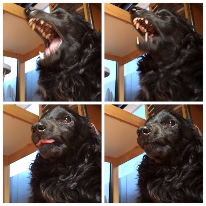 24634f25 160e 414c a48f dd5fab742ede