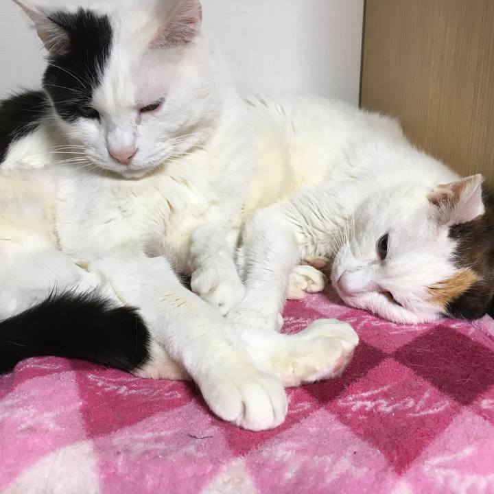 24638e6b 7c42 43c9 8fce 7de82d1b9476