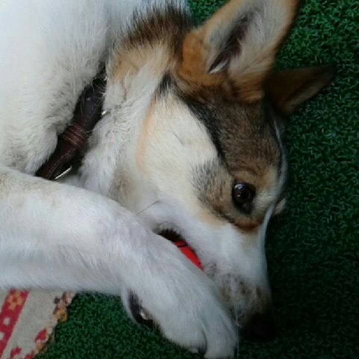 24646404 b7ab 44d2 ba1d e59b83bba0ac