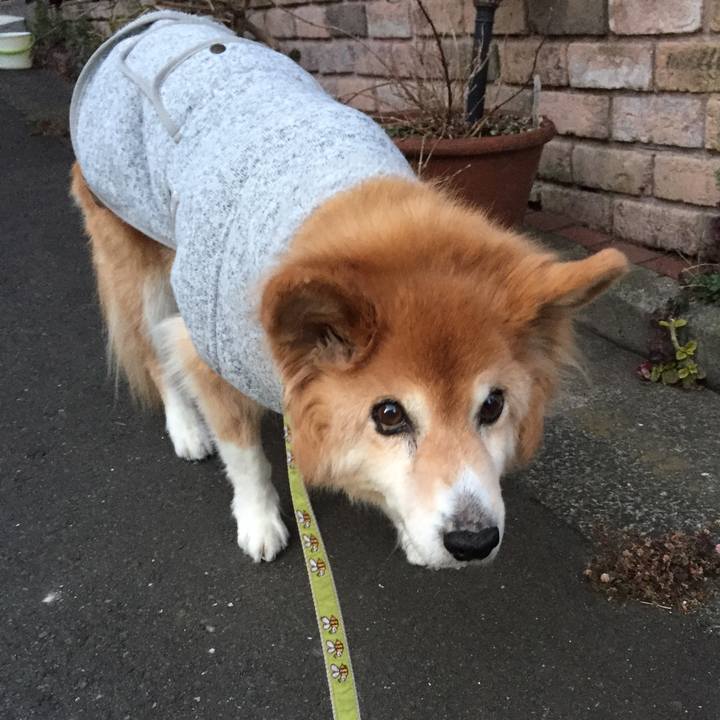 2464f45a e033 4696 b6d6 1c707ab85bc4