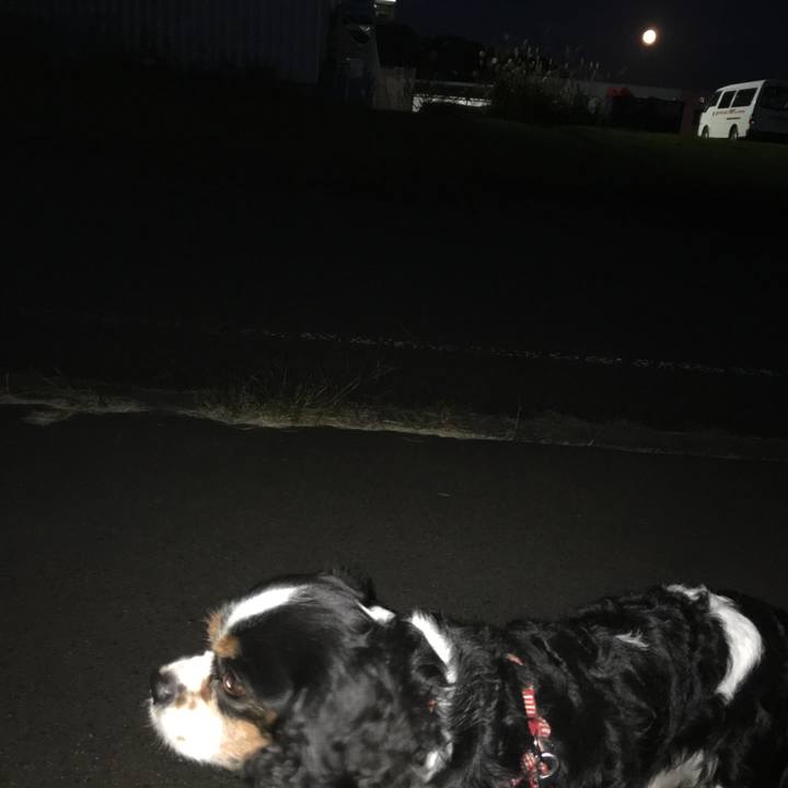 246517ae 63b9 4221 8c19 a5e57494587c