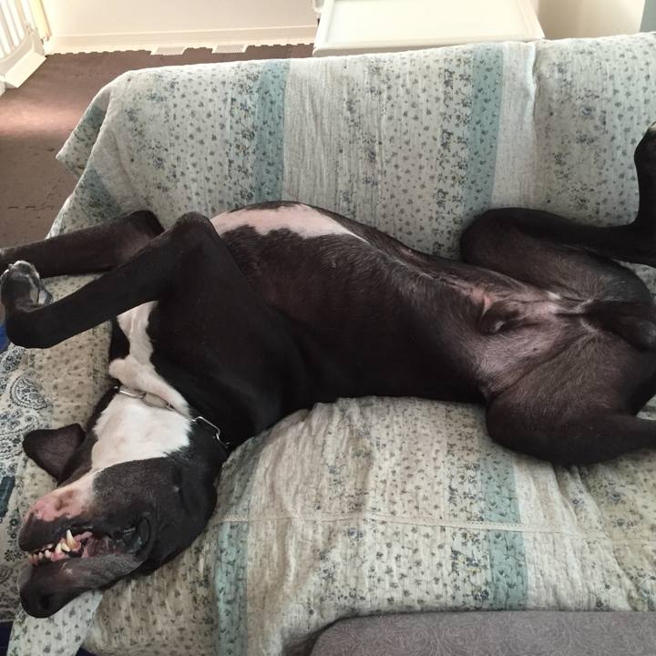 2465270c fca4 4319 bf8a 928b897a1bbc