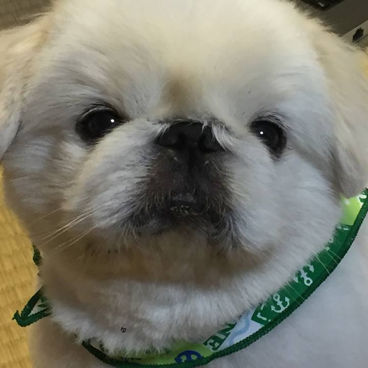 24654549 5f1f 4401 83df dc7582f26c51