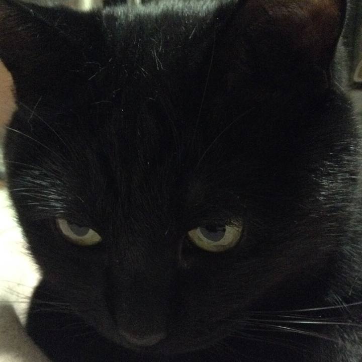 24657d98 7288 472f af22 e173711512e4