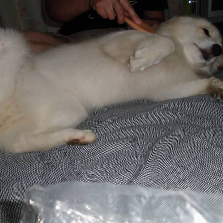 2465dc6b 2d54 49a7 b720 7d30ec503f3c